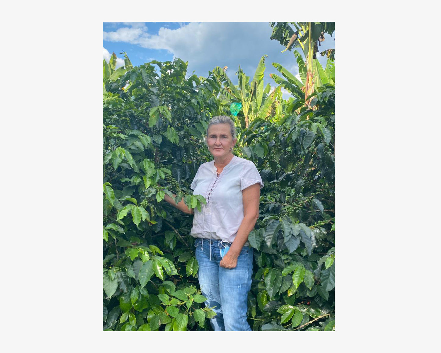 Luz Helena Salazar